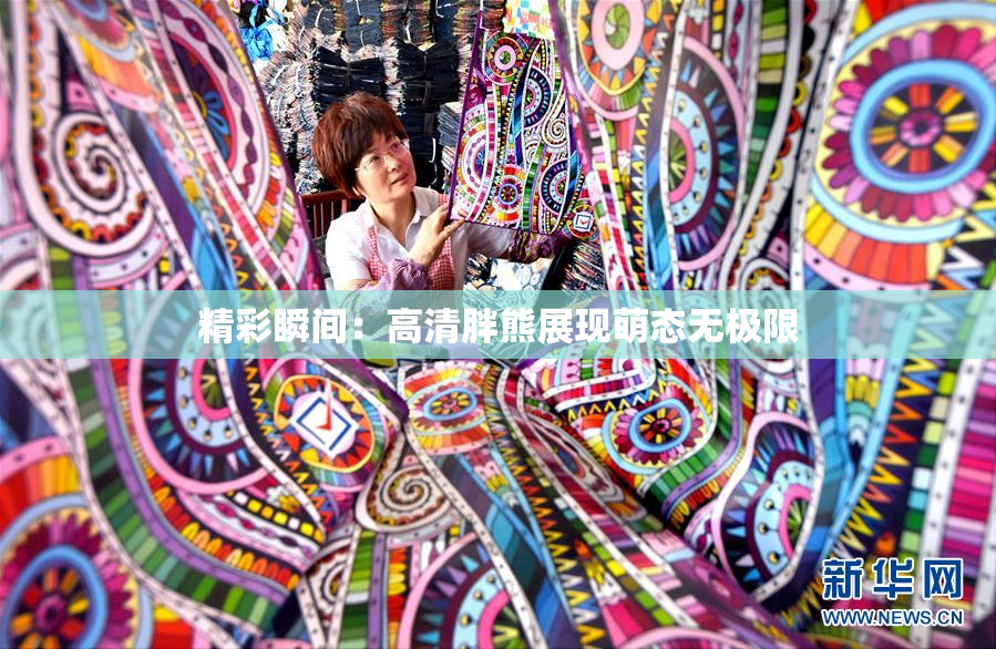 精彩瞬间：高清胖熊展现萌态无极限