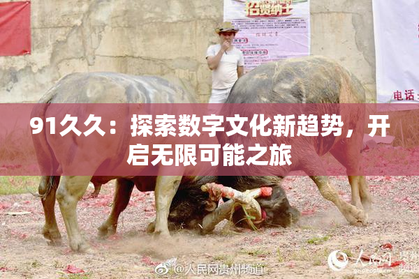 91久久：探索数字文化新趋势，开启无限可能之旅