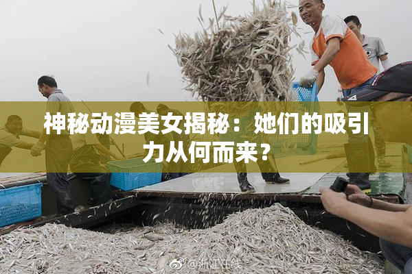 神秘动漫美女揭秘：她们的吸引力从何而来？