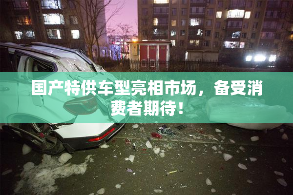 国产特供车型亮相市场，备受消费者期待！