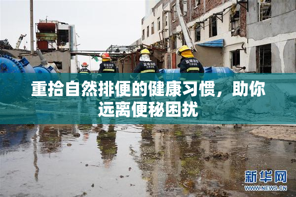 重拾自然排便的健康习惯，助你远离便秘困扰