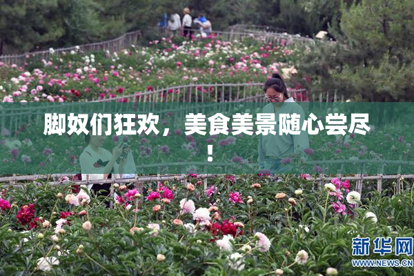 脚奴们狂欢，美食美景随心尝尽！