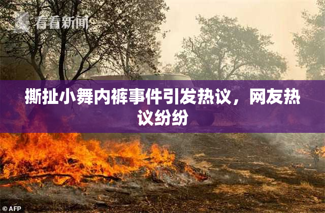 撕扯小舞内裤事件引发热议，网友热议纷纷