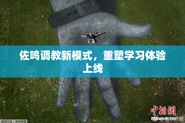 佐鸣调教新模式，重塑学习体验上线