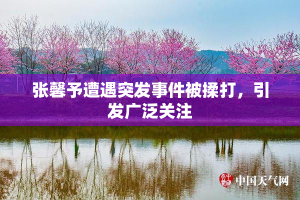 张馨予遭遇突发事件被揉打，引发广泛关注