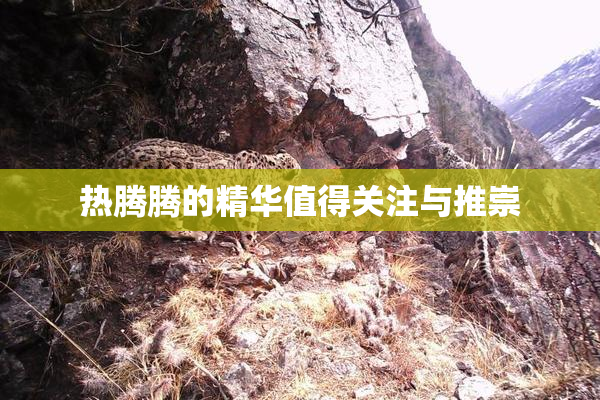 热腾腾的精华值得关注与推崇