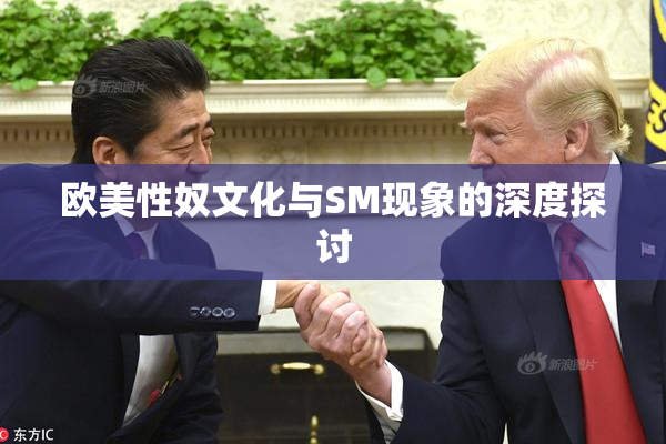 欧美性奴文化与SM现象的深度探讨