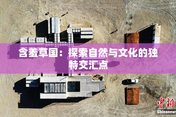 含羞草国：探索自然与文化的独特交汇点