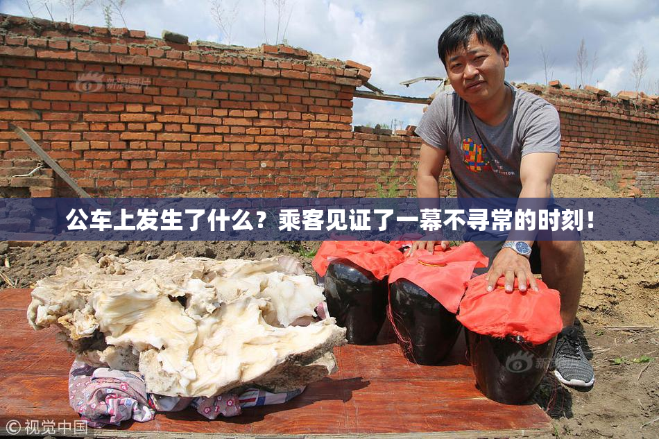 公车上发生了什么？乘客见证了一幕不寻常的时刻！