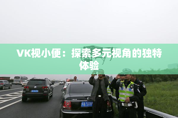 VK视小便：探索多元视角的独特体验