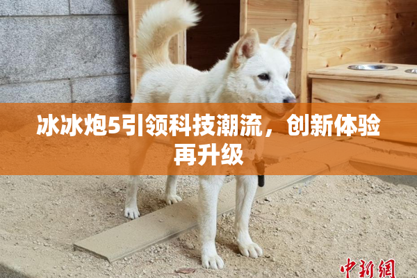 冰冰炮5引领科技潮流，创新体验再升级