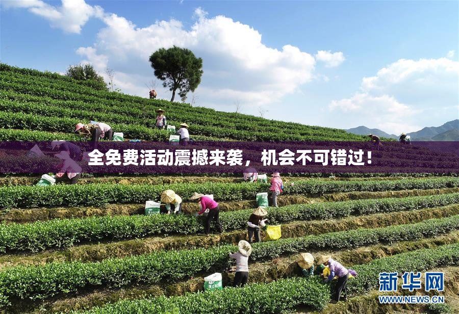 全免费活动震撼来袭，机会不可错过！