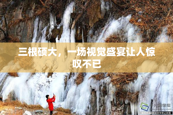三根硕大，一场视觉盛宴让人惊叹不已