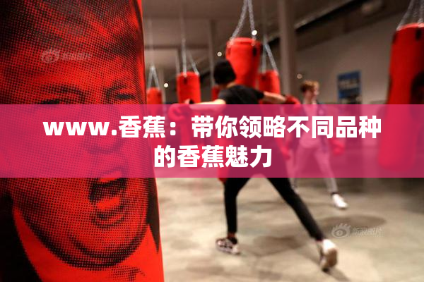 www.香蕉：带你领略不同品种的香蕉魅力
