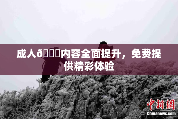 成人🔞内容全面提升，免费提供精彩体验