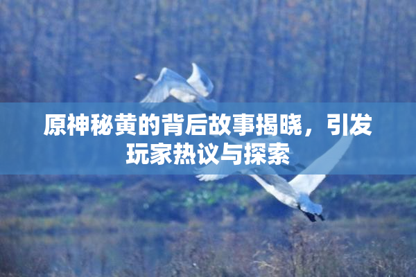 原神秘黄的背后故事揭晓，引发玩家热议与探索