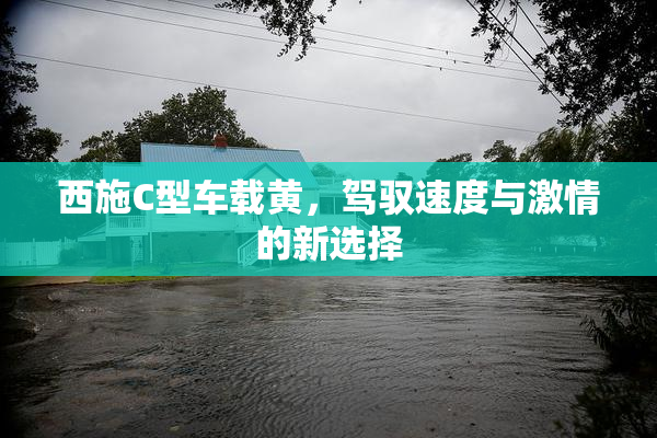 西施C型车载黄，驾驭速度与激情的新选择