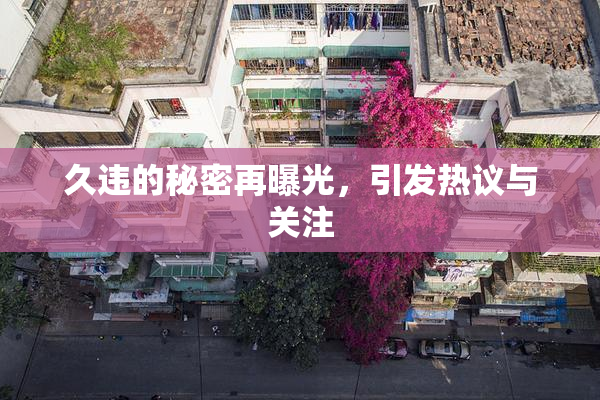 久违的秘密再曝光，引发热议与关注
