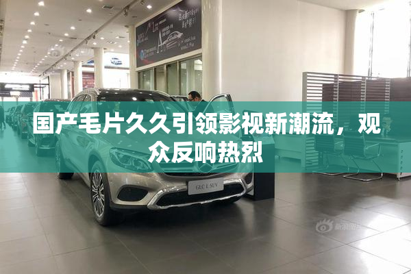 国产毛片久久引领影视新潮流，观众反响热烈