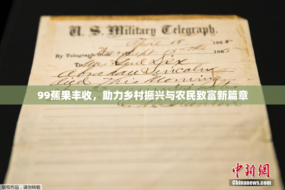 99蕉果丰收，助力乡村振兴与农民致富新篇章
