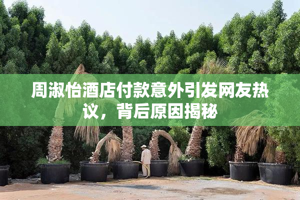 周淑怡酒店付款意外引发网友热议，背后原因揭秘