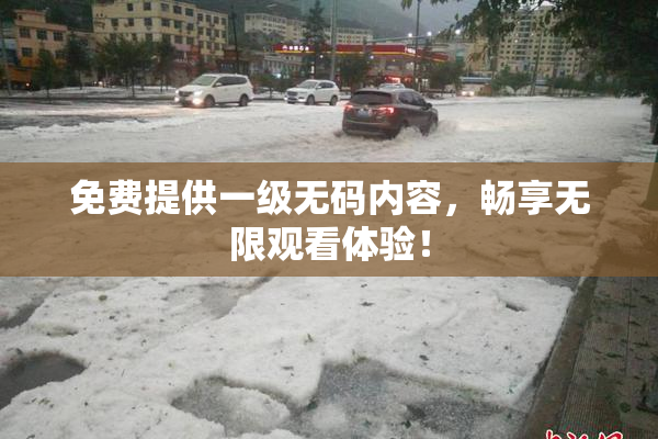 免费提供一级无码内容，畅享无限观看体验！