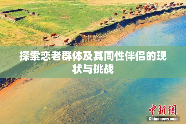 探索恋老群体及其同性伴侣的现状与挑战