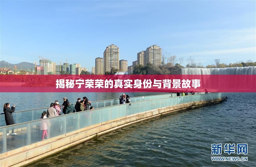 揭秘宁荣荣的真实身份与背景故事