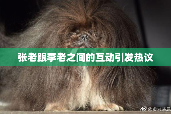 张老跟李老之间的互动引发热议