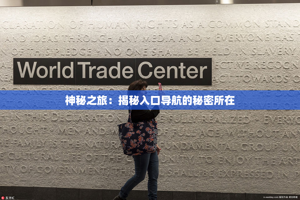 神秘之旅：揭秘入口导航的秘密所在