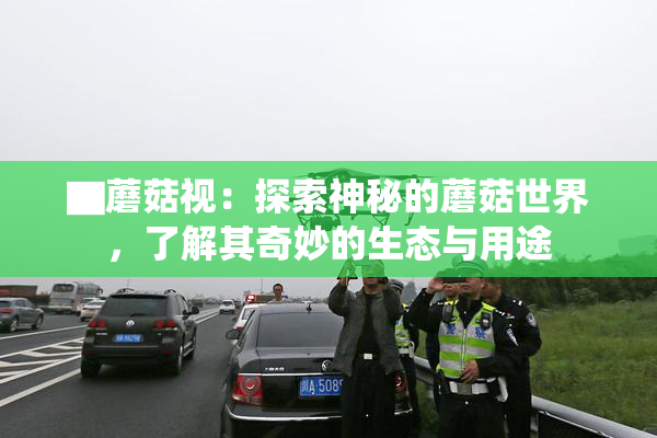 ▇蘑菇视：探索神秘的蘑菇世界，了解其奇妙的生态与用途