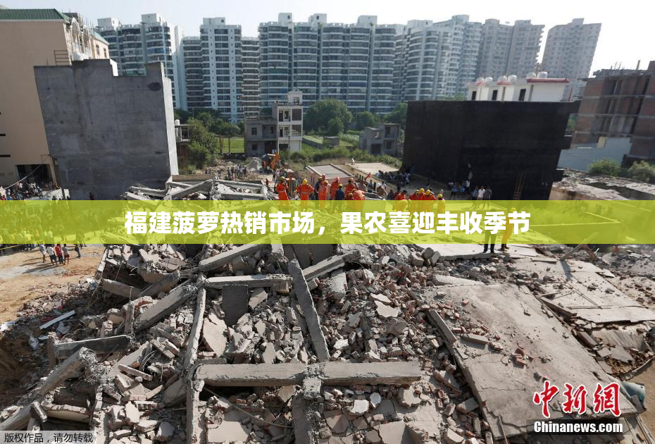 福建菠萝热销市场，果农喜迎丰收季节