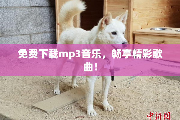 免费下载mp3音乐，畅享精彩歌曲！