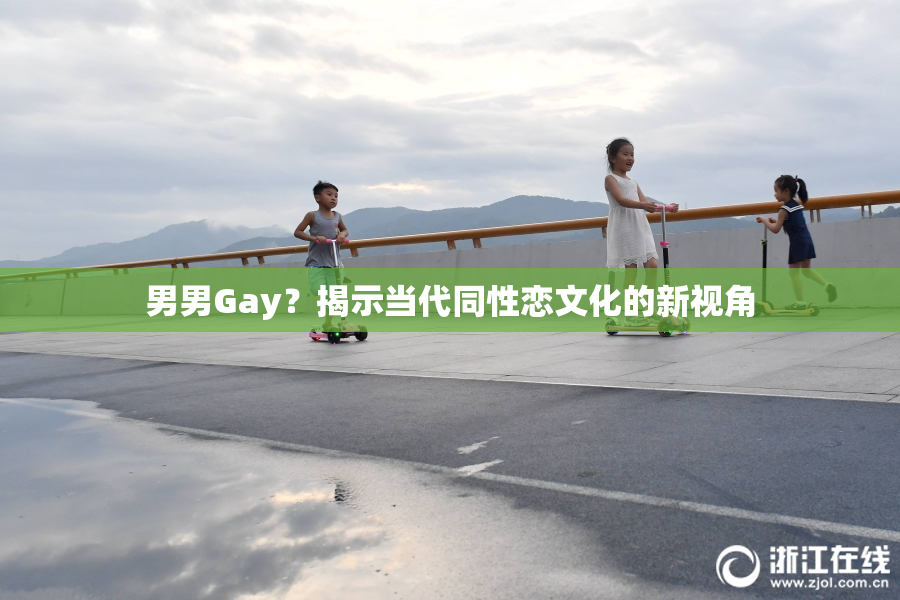 男男Gay？揭示当代同性恋文化的新视角