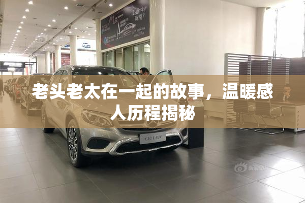 老头老太在一起的故事，温暖感人历程揭秘