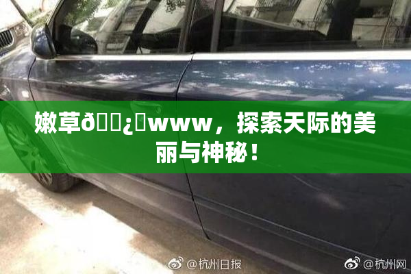 嫩草🌿‌www，探索天际的美丽与神秘！