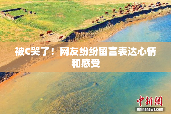 被C哭了！网友纷纷留言表达心情和感受