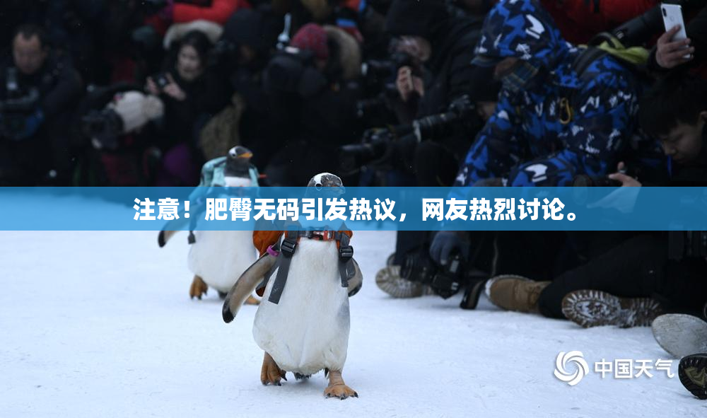 注意！肥臀无码引发热议，网友热烈讨论。