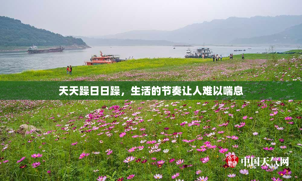 天天躁日日躁，生活的节奏让人难以喘息