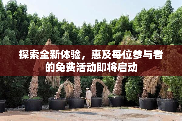 探索全新体验，惠及每位参与者的免费活动即将启动