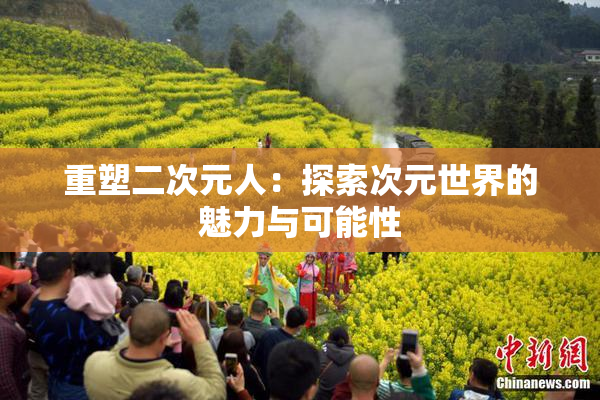 重塑二次元人：探索次元世界的魅力与可能性