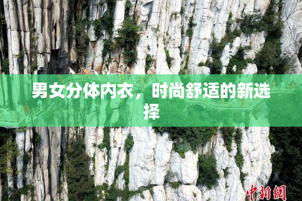 男女分体内衣，时尚舒适的新选择