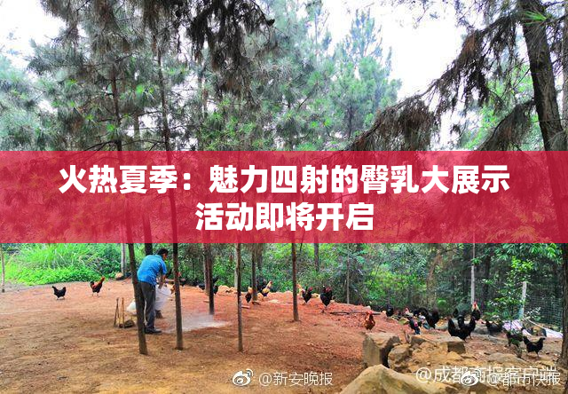 火热夏季：魅力四射的臀乳大展示活动即将开启