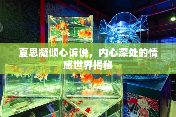夏思凝倾心诉说，内心深处的情感世界揭秘