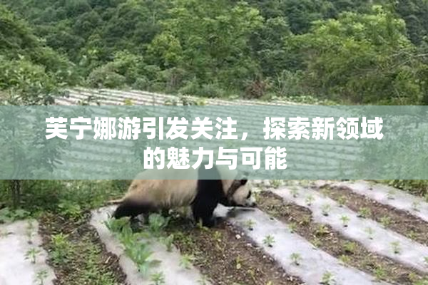 芙宁娜游引发关注，探索新领域的魅力与可能