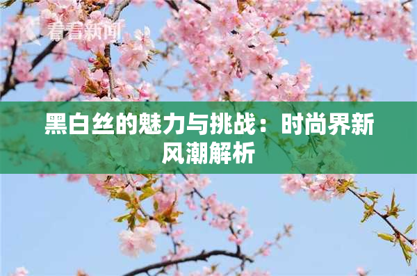 黑白丝的魅力与挑战：时尚界新风潮解析