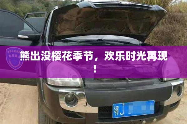 熊出没樱花季节，欢乐时光再现！