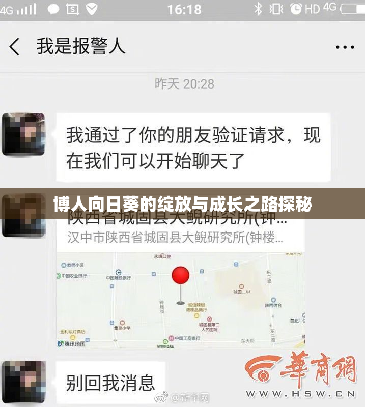 博人向日葵的绽放与成长之路探秘