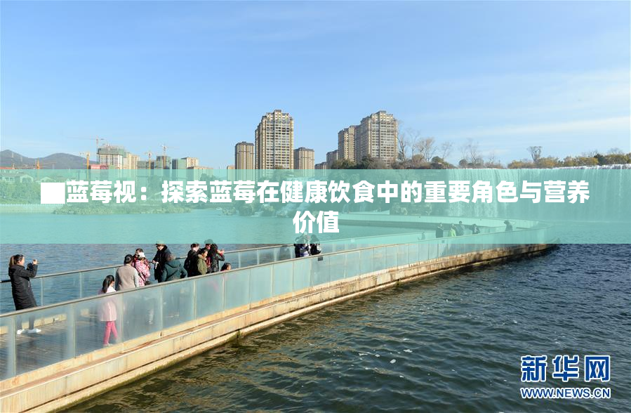 ▇蓝莓视：探索蓝莓在健康饮食中的重要角色与营养价值