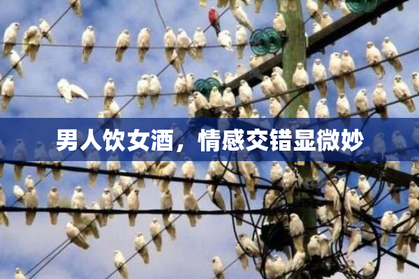 男人饮女酒，情感交错显微妙